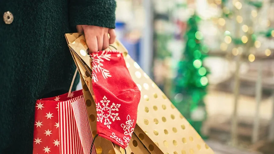 Christmas Products for Dropshipping